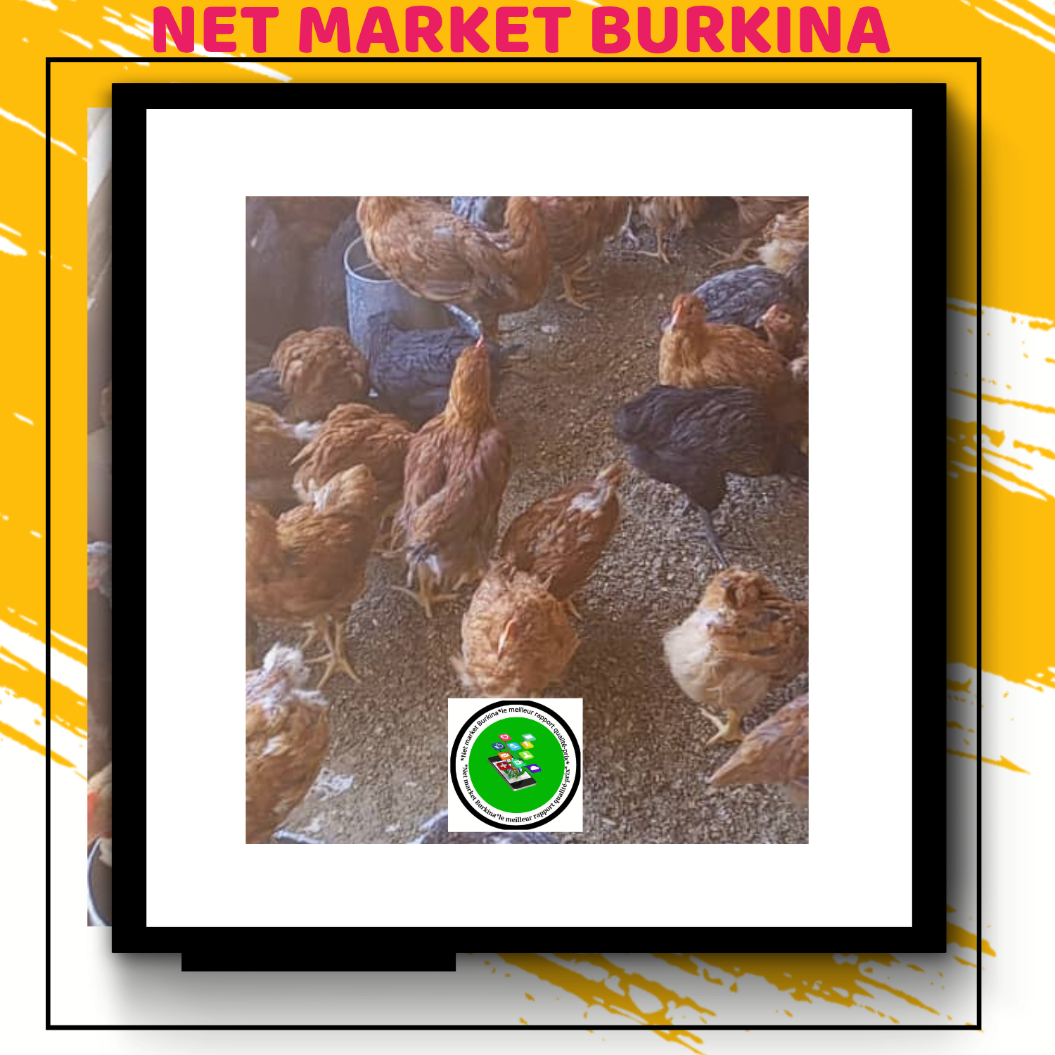 Produits agroalimentaires et d'élevage