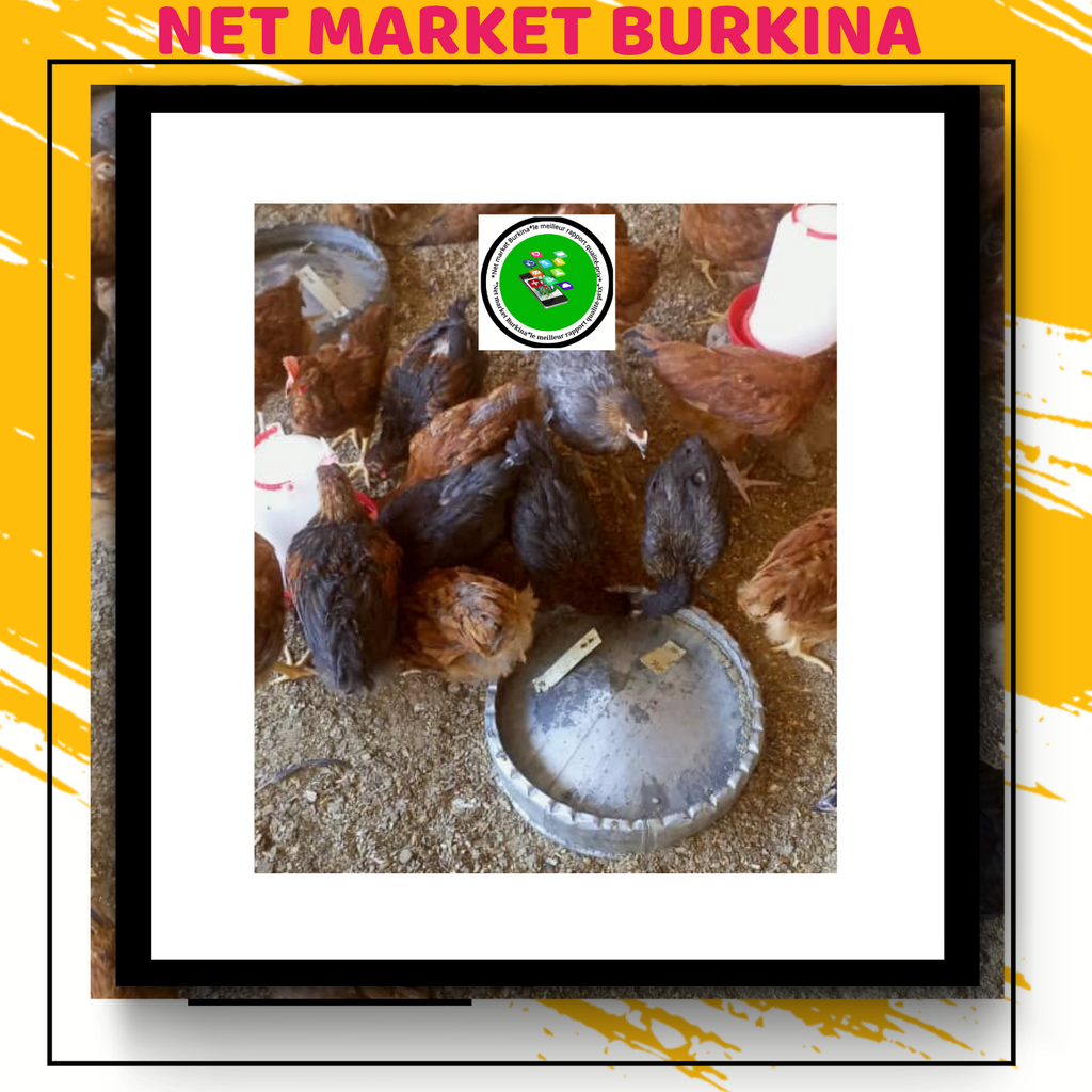 Produits agroalimentaires et d'élevage